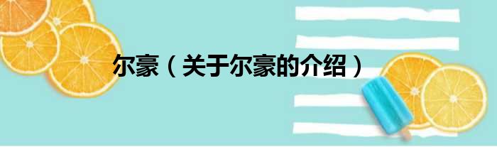 尔豪（关于尔豪的介绍）