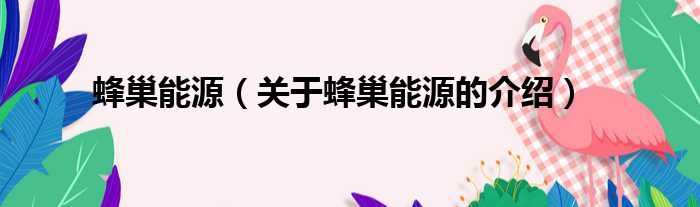 蜂巢能源（关于蜂巢能源的介绍）