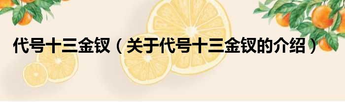 代号十三金钗（关于代号十三金钗的介绍）
