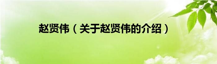 赵贤伟（关于赵贤伟的介绍）