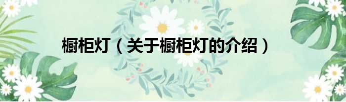 橱柜灯（关于橱柜灯的介绍）