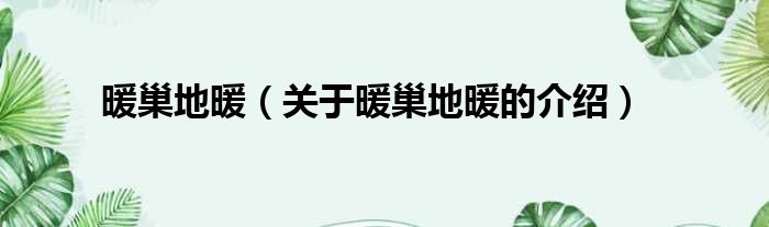 暖巢地暖（关于暖巢地暖的介绍）