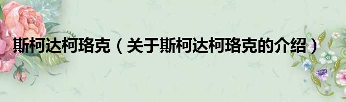 斯柯达柯珞克（关于斯柯达柯珞克的介绍）