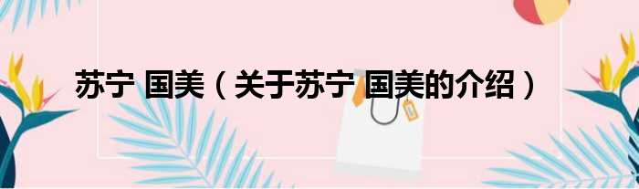 苏宁 国美（关于苏宁 国美的介绍）