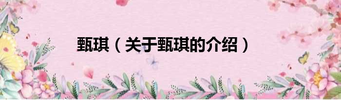 甄琪（关于甄琪的介绍）