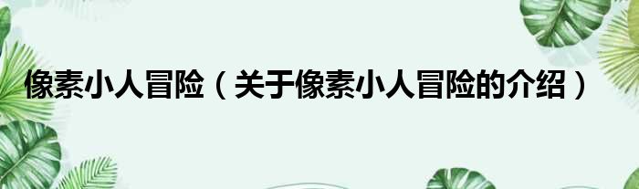 像素小人冒险（关于像素小人冒险的介绍）