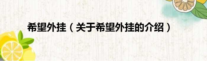 希望外挂（关于希望外挂的介绍）