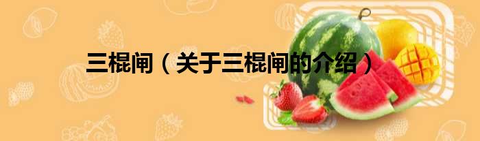 三棍闸（关于三棍闸的介绍）