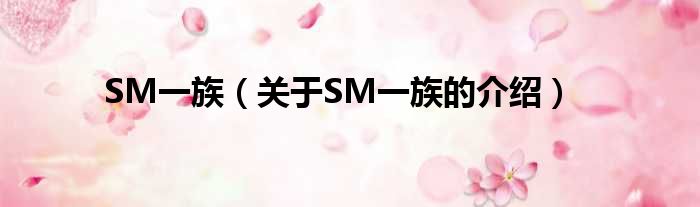 SM一族（关于SM一族的介绍）