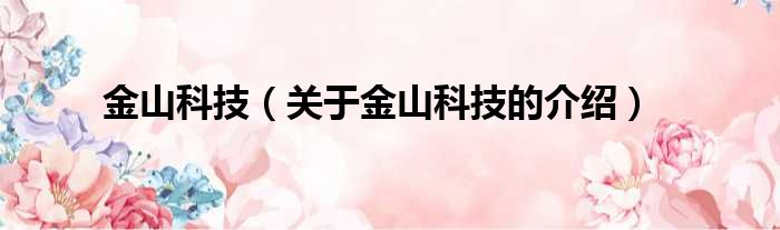 金山科技（关于金山科技的介绍）