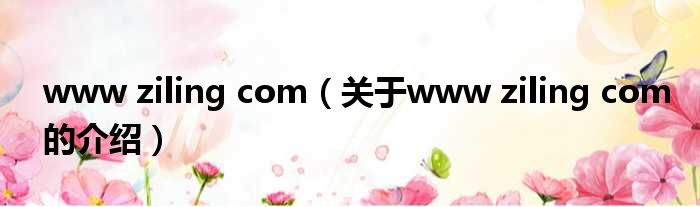 www ziling com（关于www ziling com的介绍）