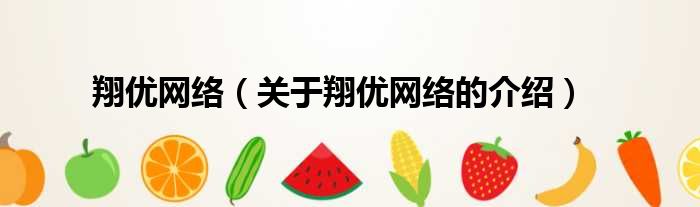 翔优网络（关于翔优网络的介绍）