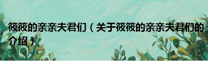 筱筱的亲亲夫君们（关于筱筱的亲亲夫君们的介绍）