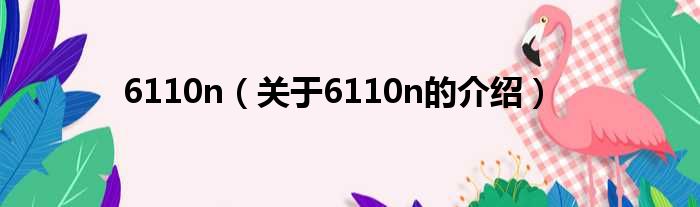 6110n（关于6110n的介绍）