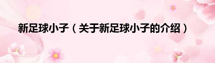 新足球小子（关于新足球小子的介绍）