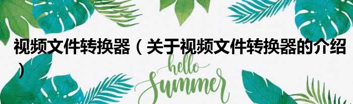 视频文件转换器（关于视频文件转换器的介绍）