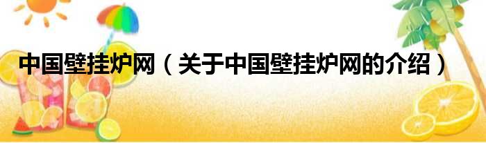 中国壁挂炉网（关于中国壁挂炉网的介绍）