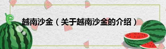越南沙金（关于越南沙金的介绍）