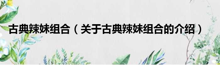 古典辣妹组合（关于古典辣妹组合的介绍）