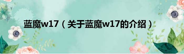 蓝魔w17（关于蓝魔w17的介绍）