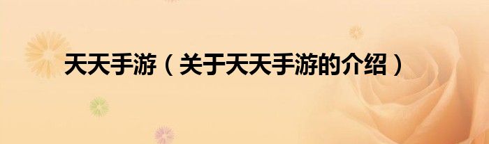 天天手游（关于天天手游的介绍）