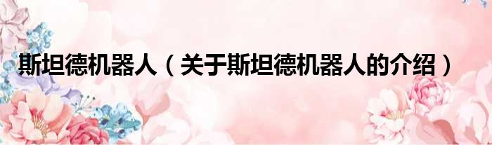 斯坦德机器人（关于斯坦德机器人的介绍）