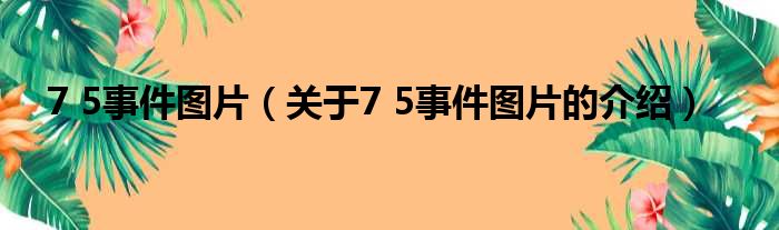 7 5事件图片（关于7 5事件图片的介绍）