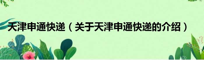 天津申通快递（关于天津申通快递的介绍）
