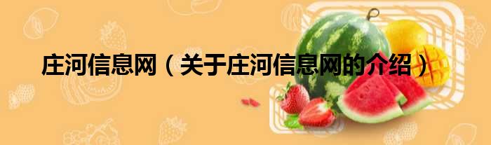 庄河信息网（关于庄河信息网的介绍）