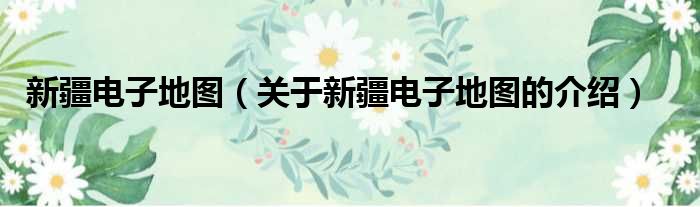 新疆电子地图（关于新疆电子地图的介绍）