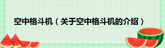 空中格斗机（关于空中格斗机的介绍）