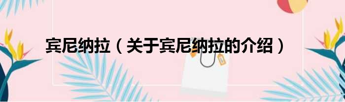 宾尼纳拉（关于宾尼纳拉的介绍）