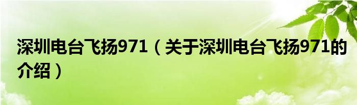 深圳电台飞扬971（关于深圳电台飞扬971的介绍）