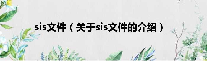 sis文件（关于sis文件的介绍）