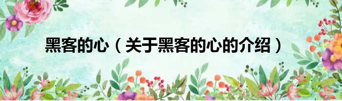 黑客的心（关于黑客的心的介绍）
