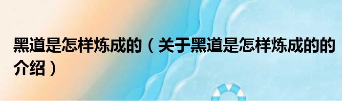 黑道是怎样炼成的（关于黑道是怎样炼成的的介绍）