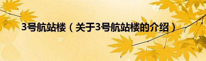 3号航站楼（关于3号航站楼的介绍）