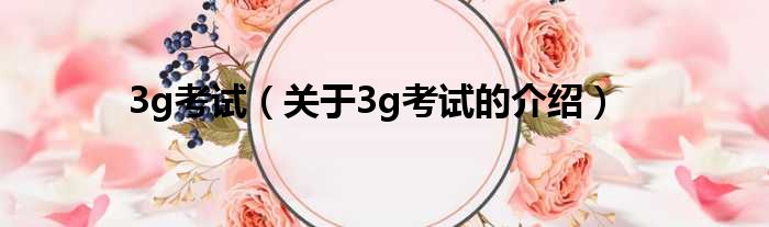 3g考试（关于3g考试的介绍）