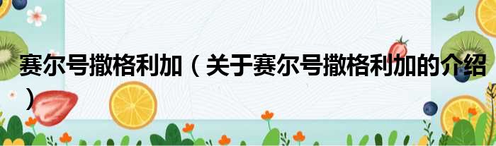 赛尔号撒格利加（关于赛尔号撒格利加的介绍）