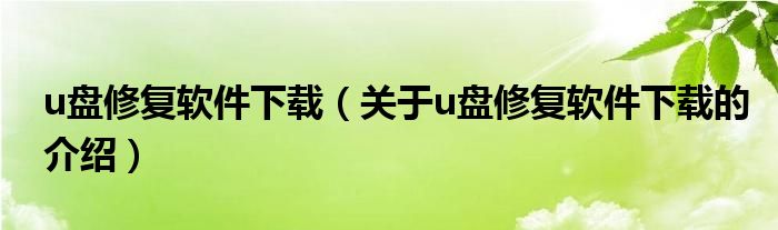 u盘修复软件下载（关于u盘修复软件下载的介绍）
