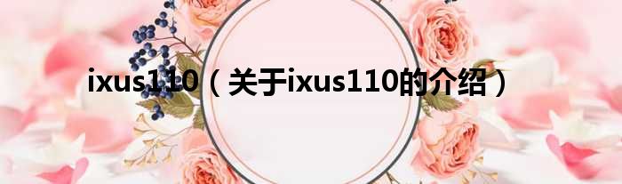 ixus110（关于ixus110的介绍）