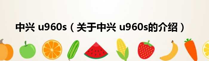 中兴 u960s（关于中兴 u960s的介绍）