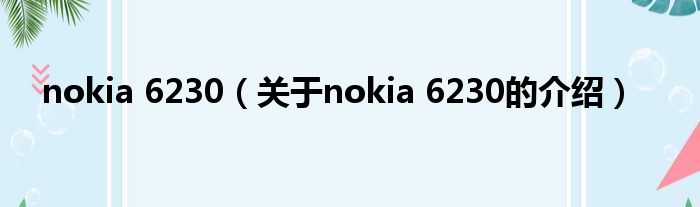 nokia 6230（关于nokia 6230的介绍）