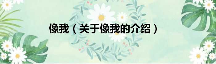 像我（关于像我的介绍）