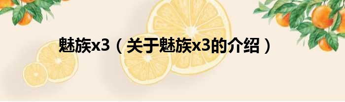 魅族x3（关于魅族x3的介绍）