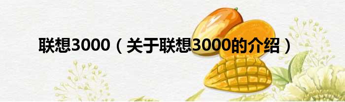 联想3000（关于联想3000的介绍）