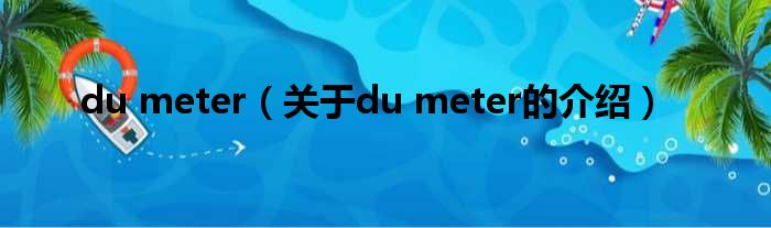 du meter（关于du meter的介绍）