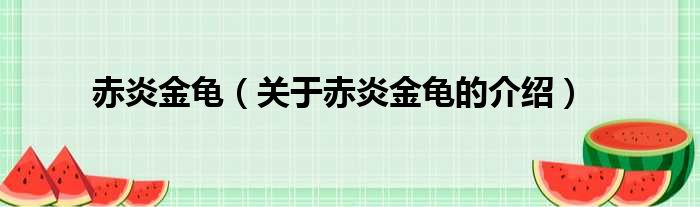 赤炎金龟（关于赤炎金龟的介绍）