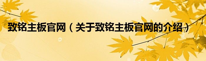 致铭主板官网（关于致铭主板官网的介绍）