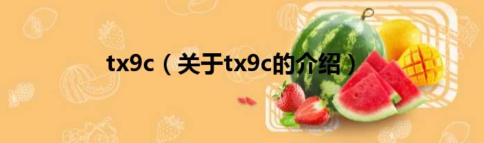 tx9c（关于tx9c的介绍）
